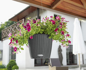 Estilo ‘cottage’ para el autorriego